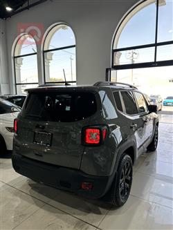 جيب رينيجيد